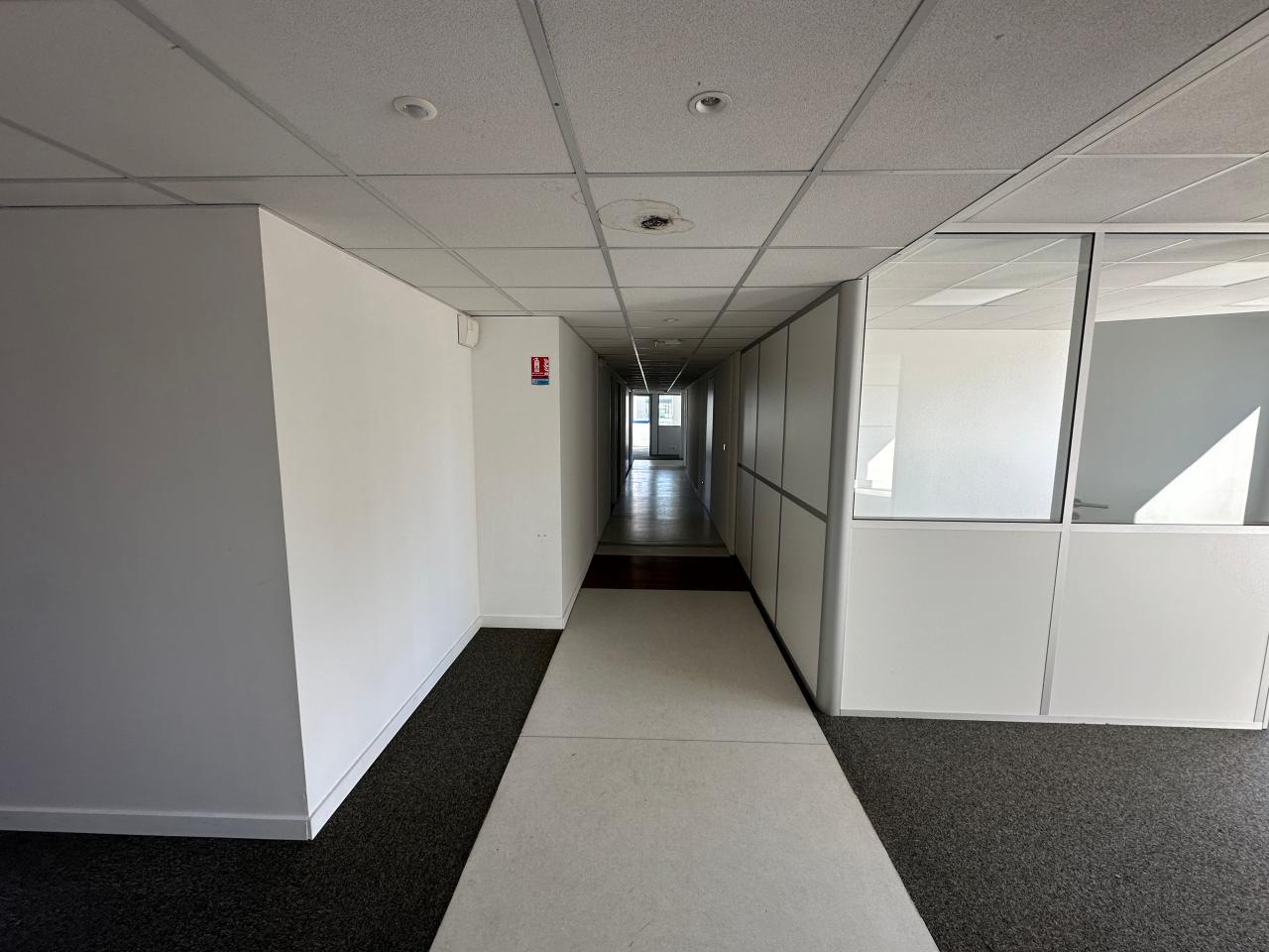 Location bureau Nice Alpes-Maritimes OLBUR2424249 7