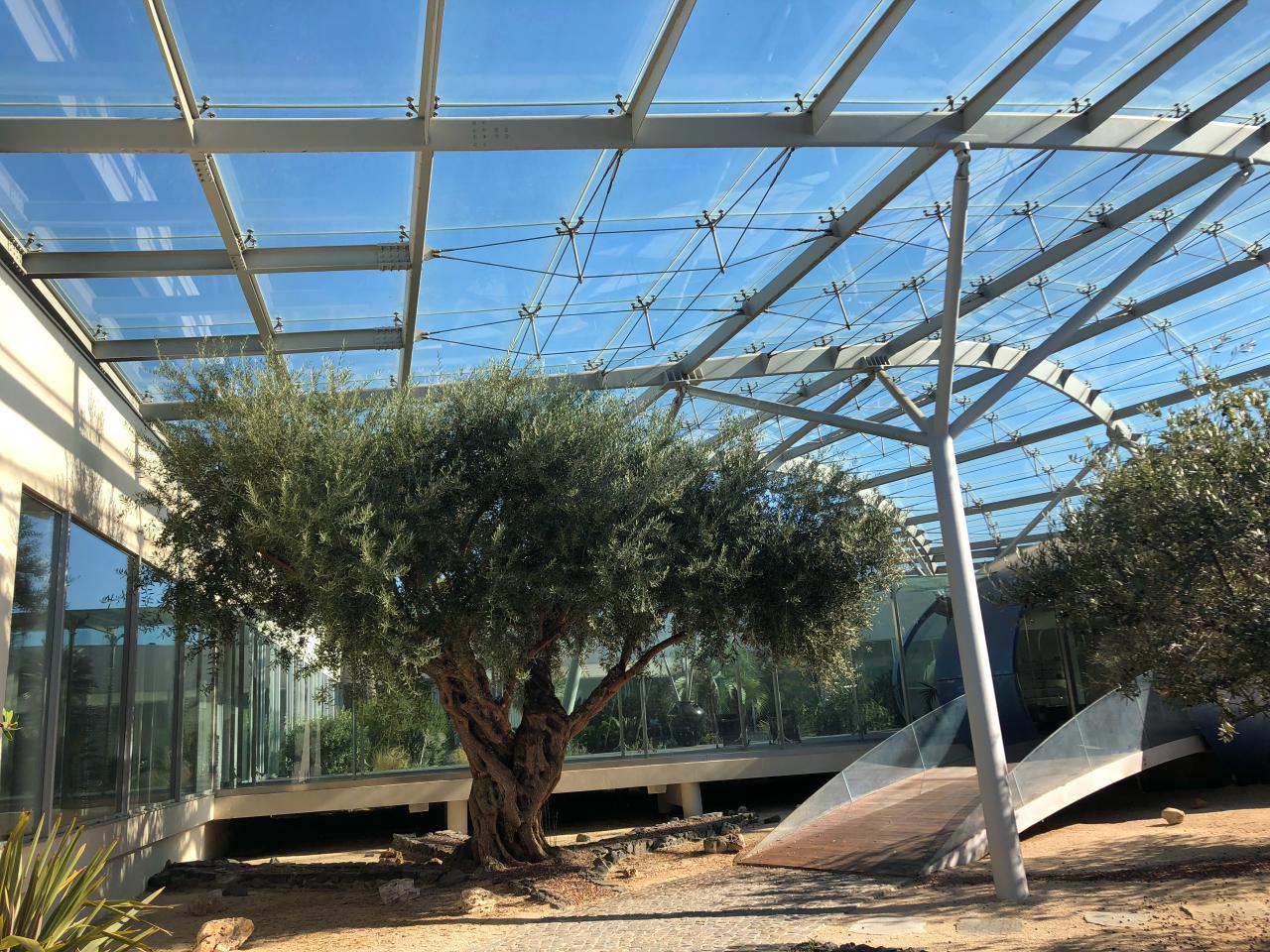 Location bureau Mauguio Hérault OLBUR2428433 6