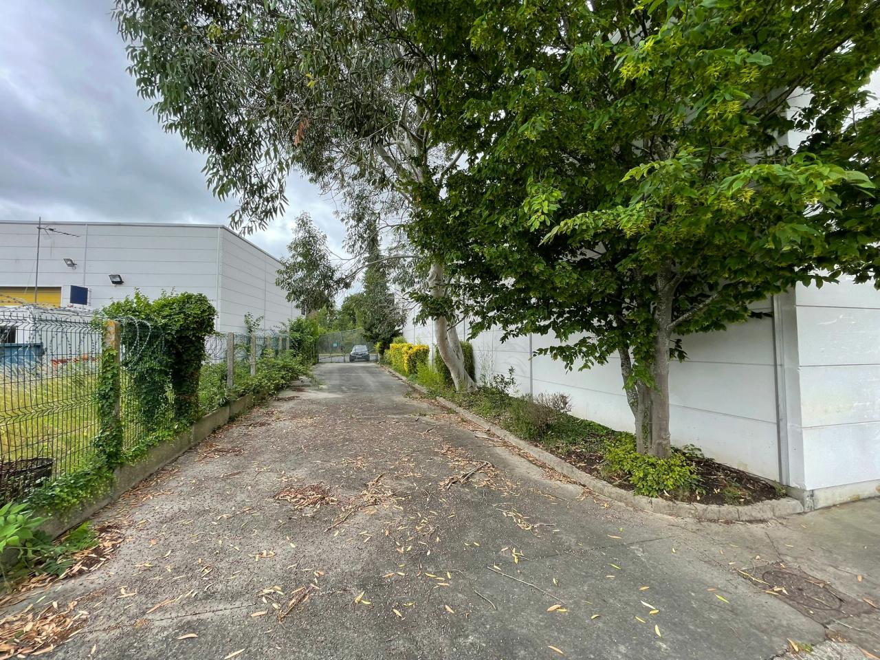 Location local d'activité Lesquin Nord OLACT2533411 5