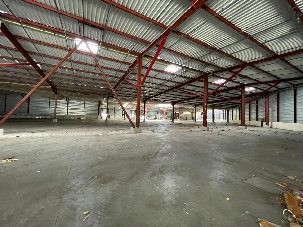 Location local d'activité Saint-Chamond Loire OLACT2533791 3