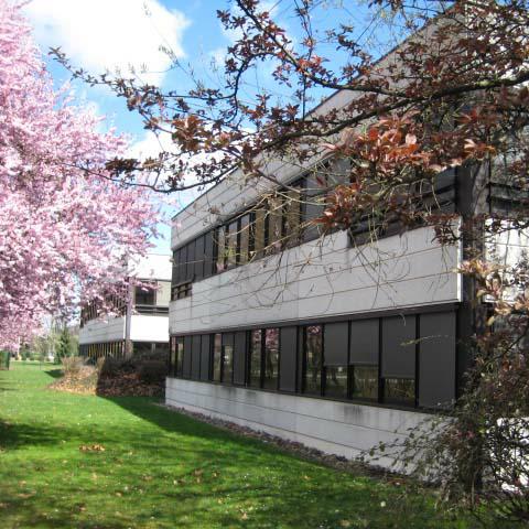 Location bureau Strasbourg Bas-Rhin OLBUR2110891 9