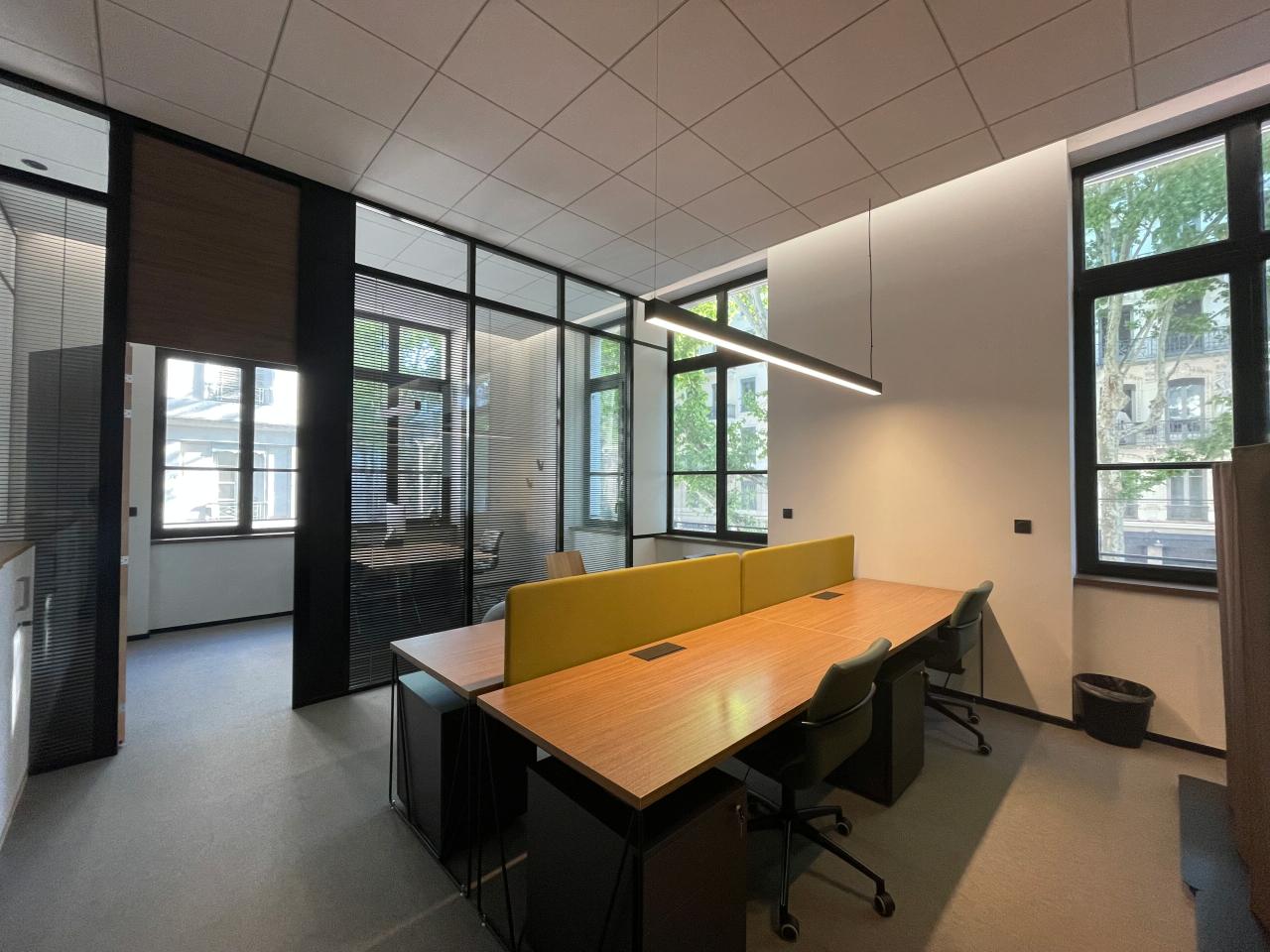 Location bureau Lyon Rhône OLBUR2533126 13