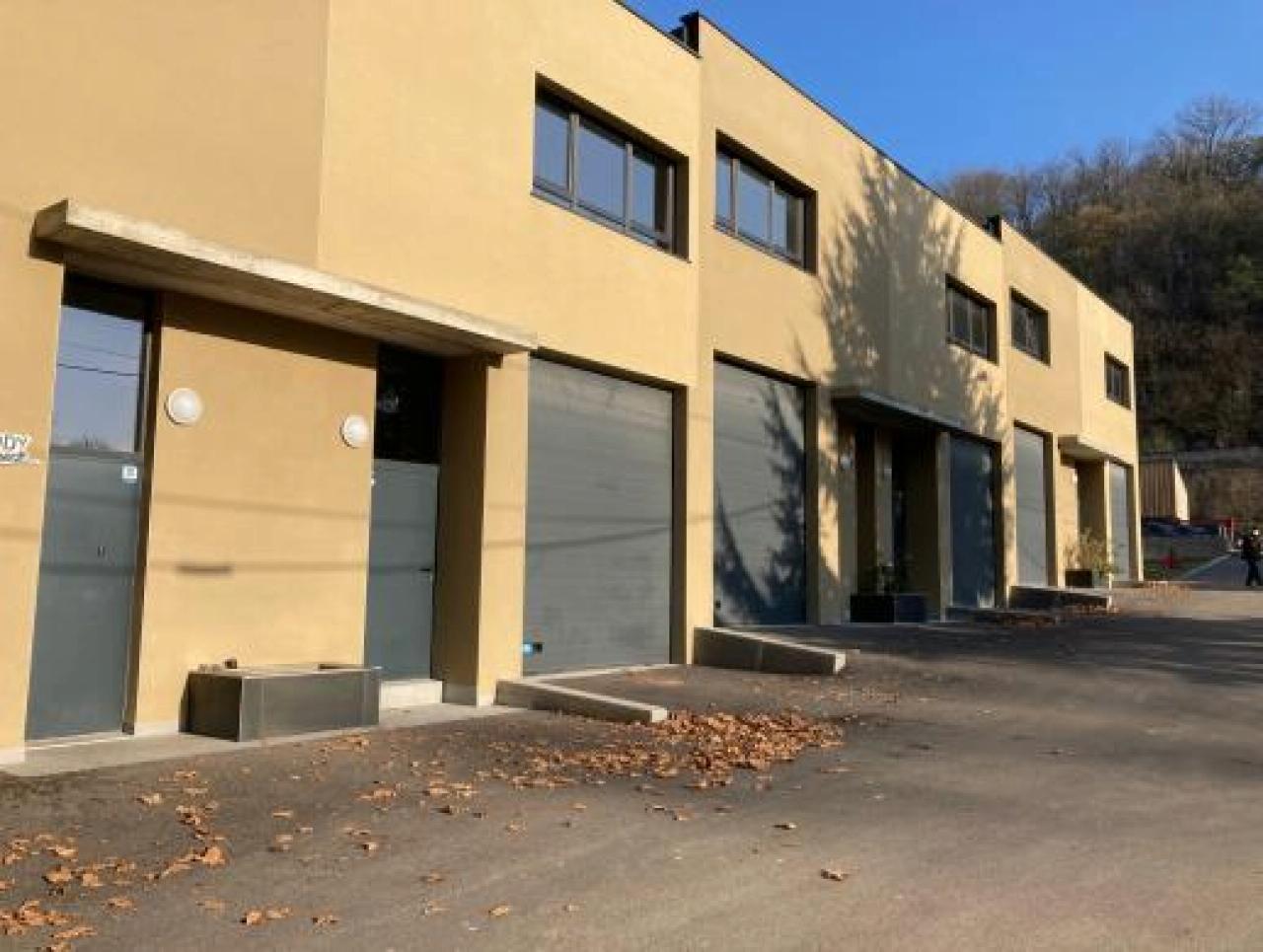 Location local d'activité Fleurieu-sur-Saône Rhône OLACT2120189 11