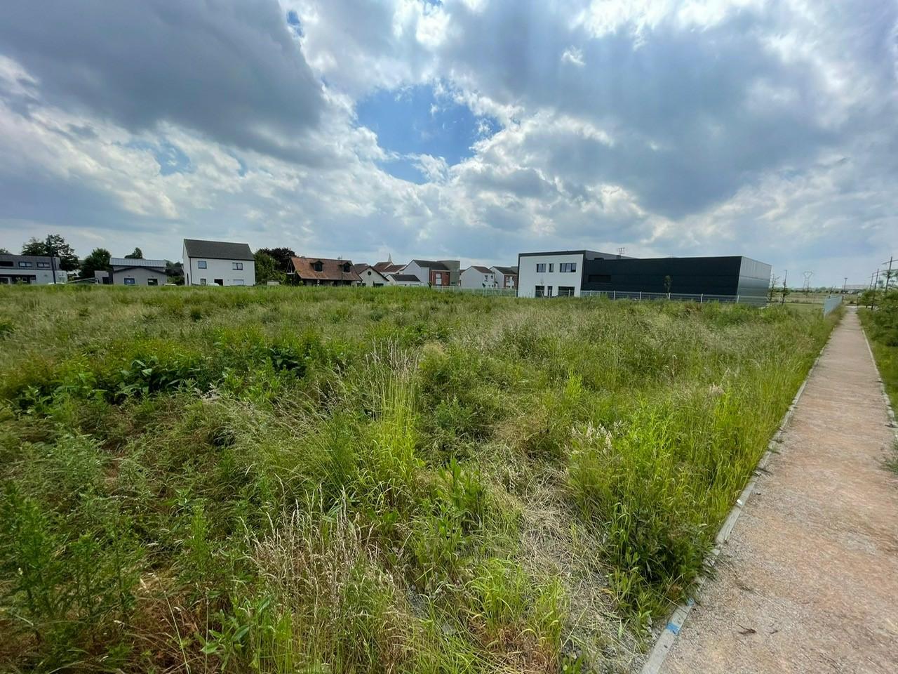 Location local d'activité Billy-Berclau Pas-de-Calais OLACT2423766 1