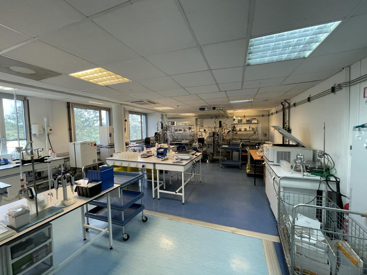 Location bureau Loos Nord OLBUR2119741 5