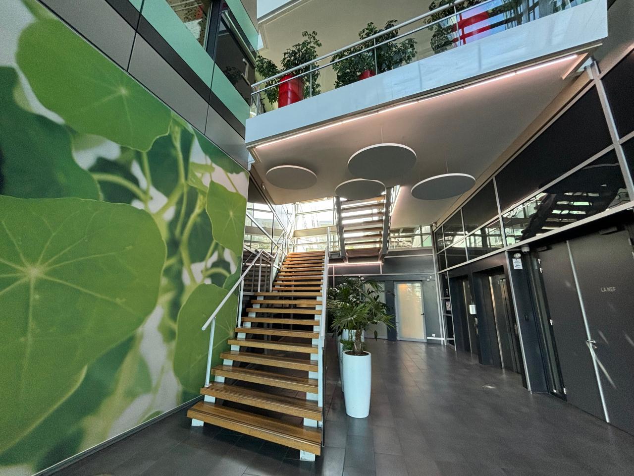 Location bureau Vaulx-en-Velin Rhône OLBUR2641461 14