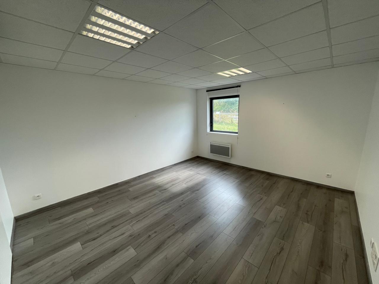 Location local d'activité Flavigny-sur-Moselle Meurthe-et-Moselle OLACT2425562 3