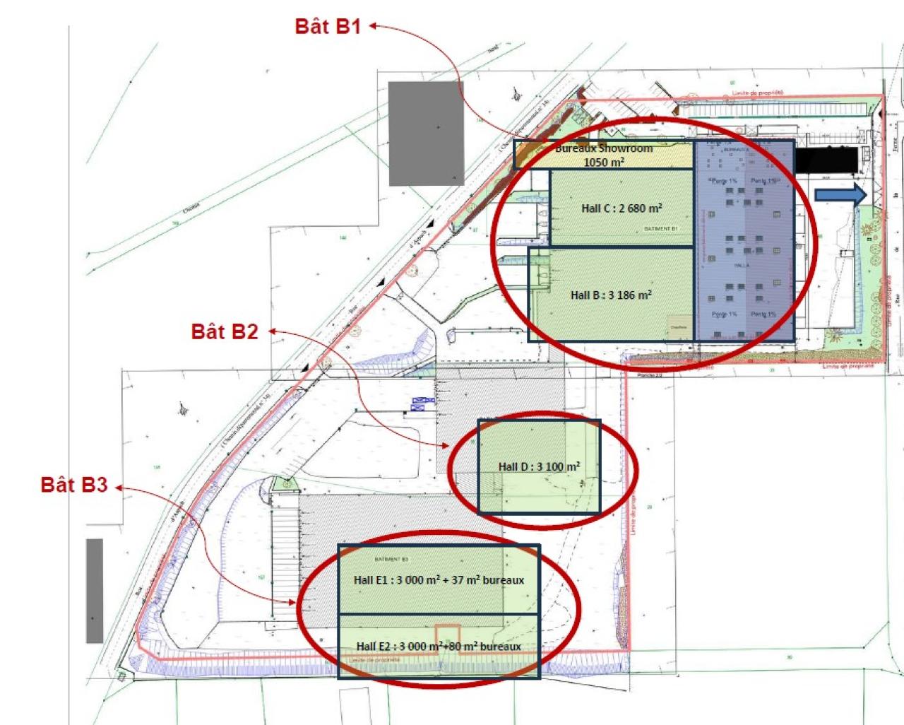 Location entrepôt classe a Cernay Haut-Rhin OLLOG2642627 4