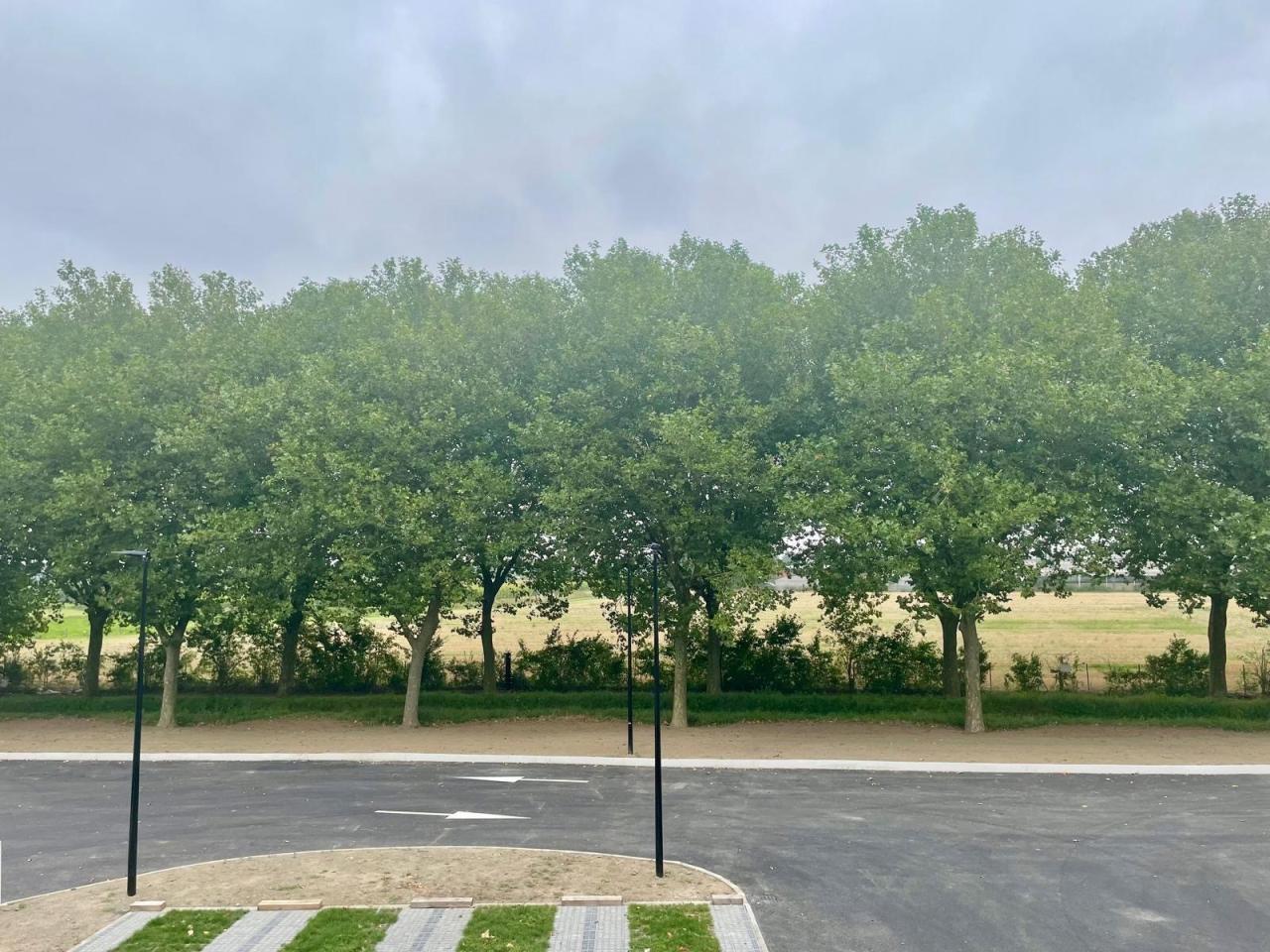 Location local d'activité Saint-André-lez-Lille Nord OLACT2317420 12