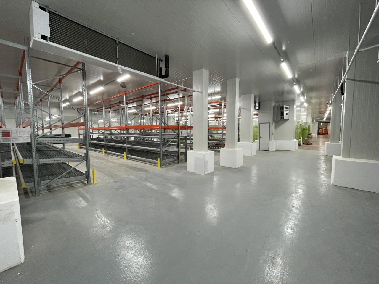 Location entrepôt Thiais Val-de-Marne OLLOG2532699 11