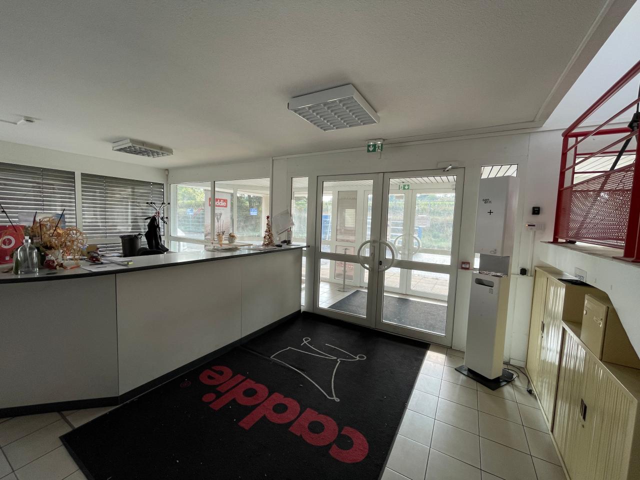 Vente local d'activité Dettwiller Bas-Rhin OVACT2536558 8