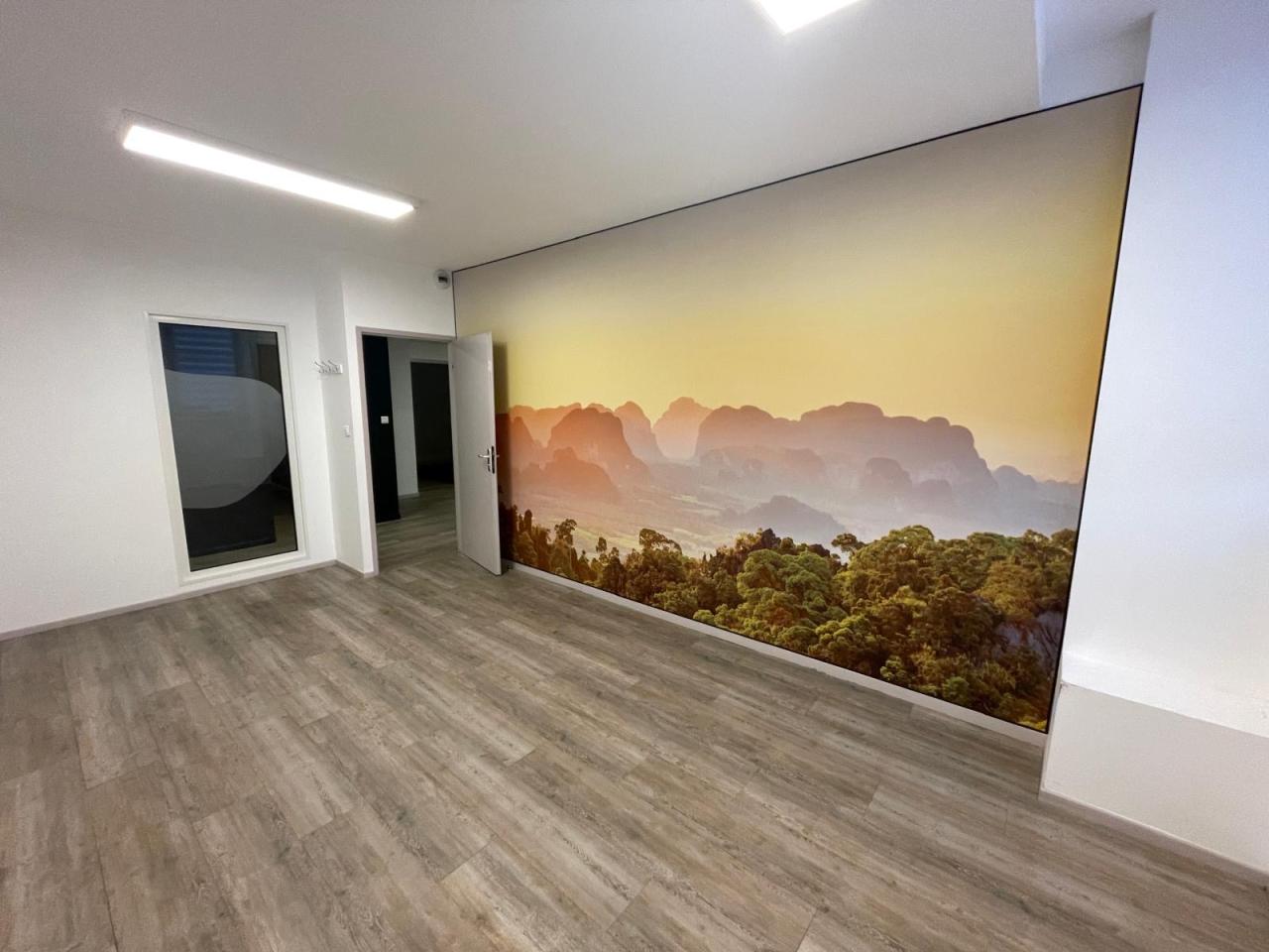 Location bureau Nancy Meurthe-et-Moselle OLBUR2314352 10