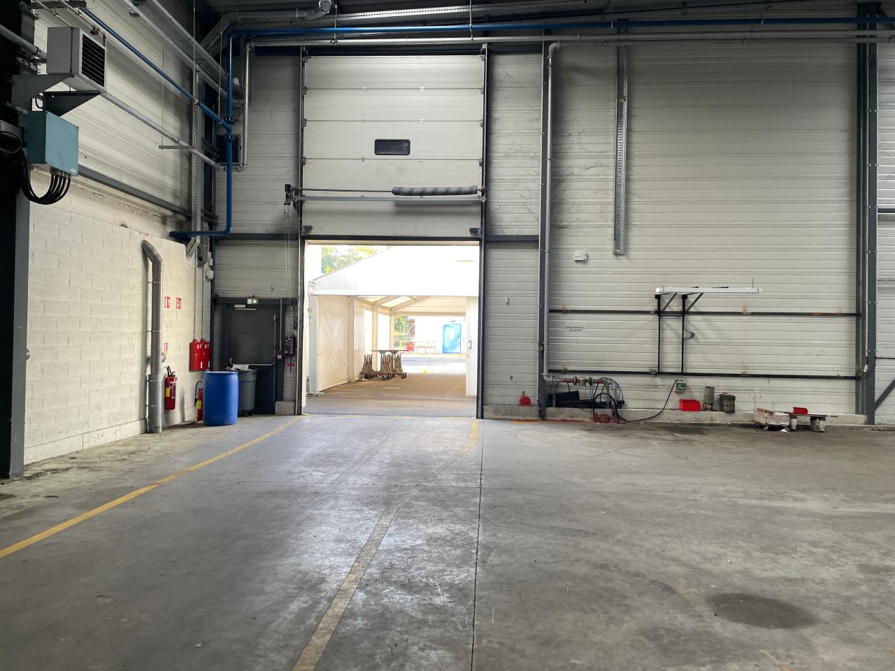 Vente local d'activité Dettwiller Bas-Rhin OVACT2536558 20