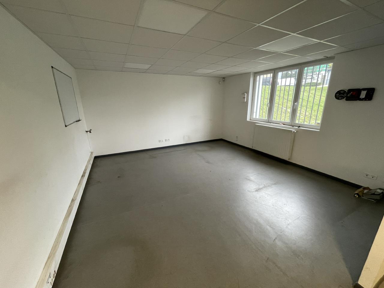 Location local d'activité Ludres Meurthe-et-Moselle OLACT2420447 4