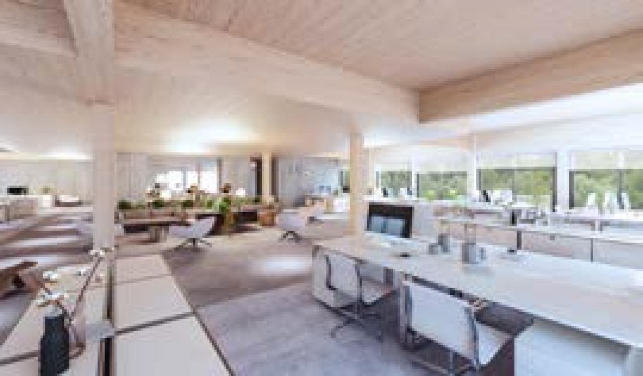 Location local d'activité Décines-Charpieu Rhône OLACT2537044 4