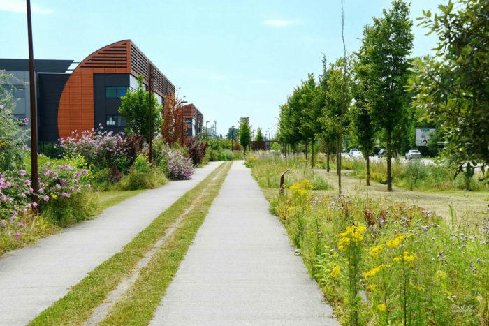 Location bureau Villeneuve-d'Ascq Nord OLBUR2114042 5