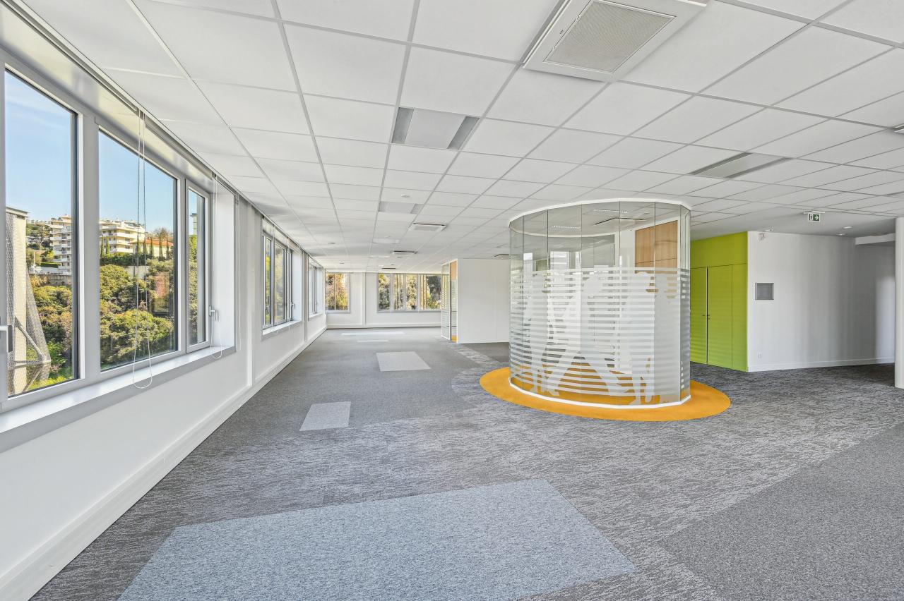 Location bureau Nice Alpes-Maritimes OLBUR2426844 12