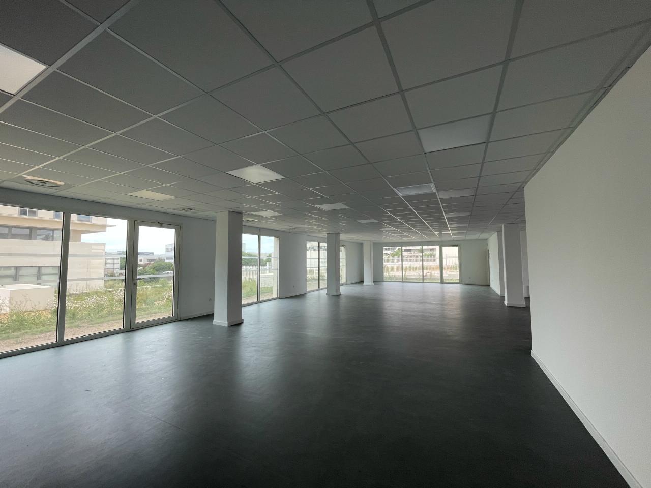 Location bureau Castelnau-le-Lez Hérault OLBUR2117268 5