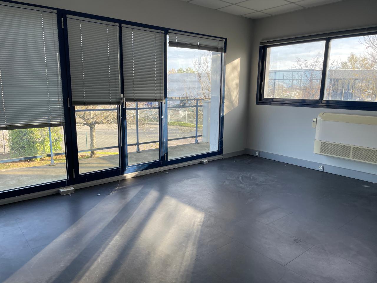 Vente local d'activité Chassieu Rhône OVACT2536169 14