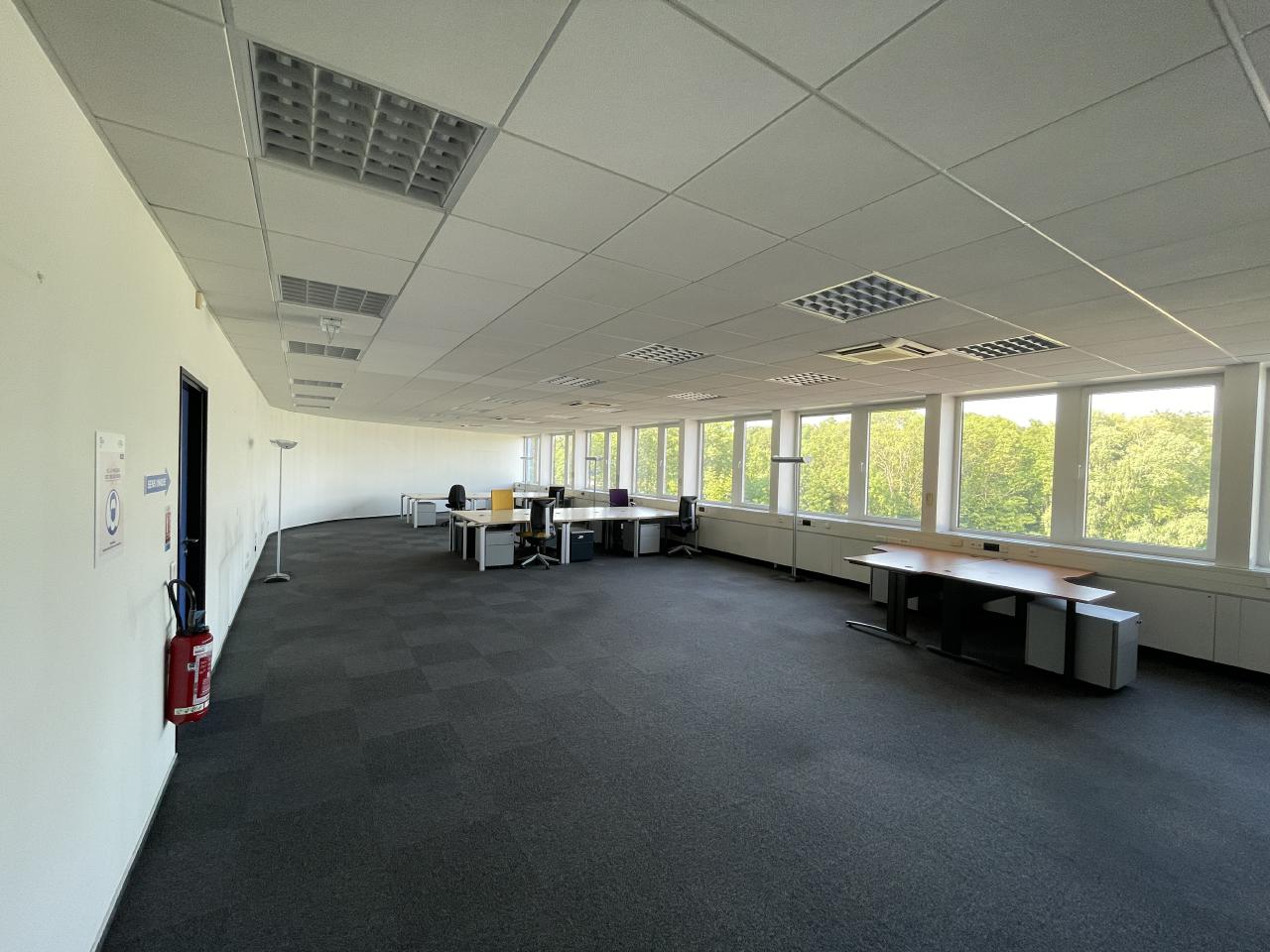 Location bureau Mundolsheim Bas-Rhin OLBUR2424679 11