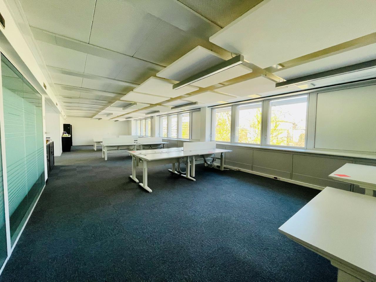 Location bureau Strasbourg Bas-Rhin OLBUR2310518 8