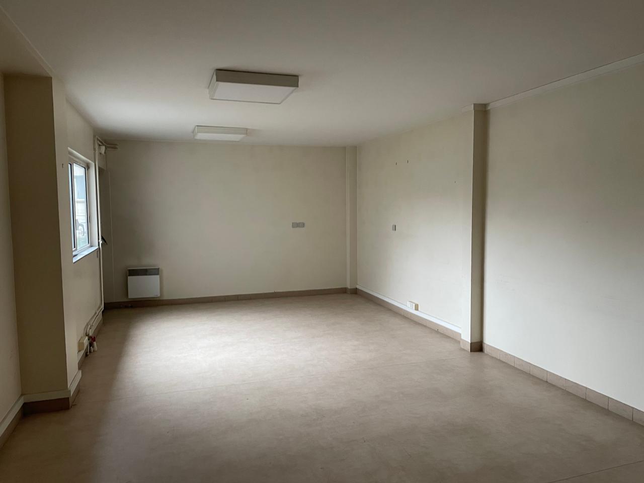 Location local d'activité La Chapelle-Saint-Mesmin Loiret OLACT2537399 3