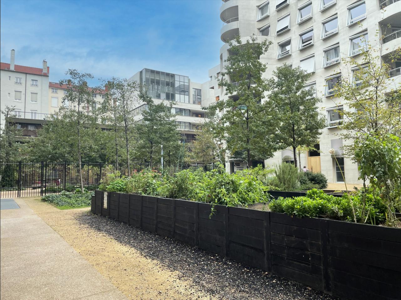 Location bureau Lyon Rhône OLBUR2426245 7