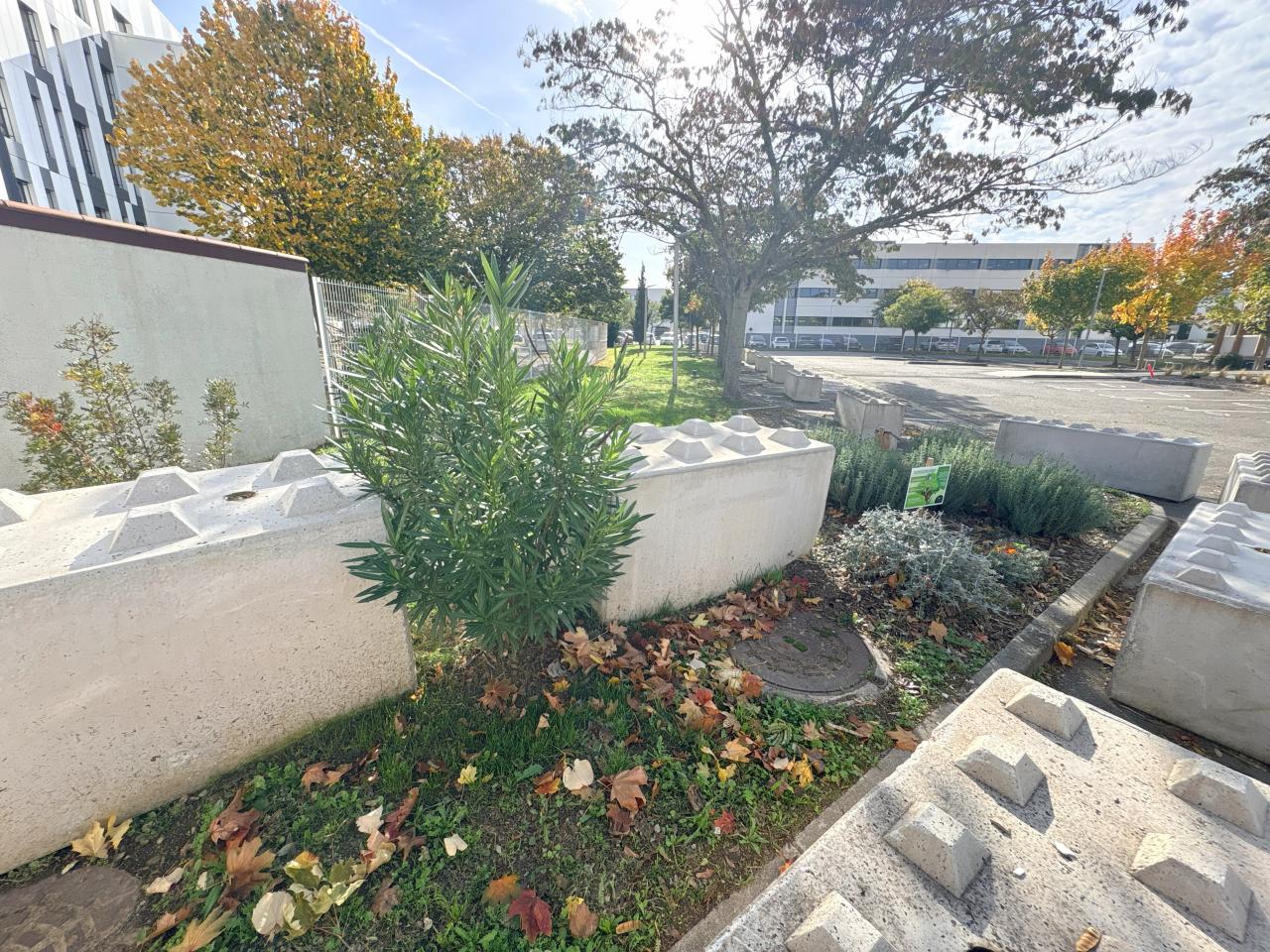 Location bureau Blagnac Haute-Garonne OLBUR2309032 7