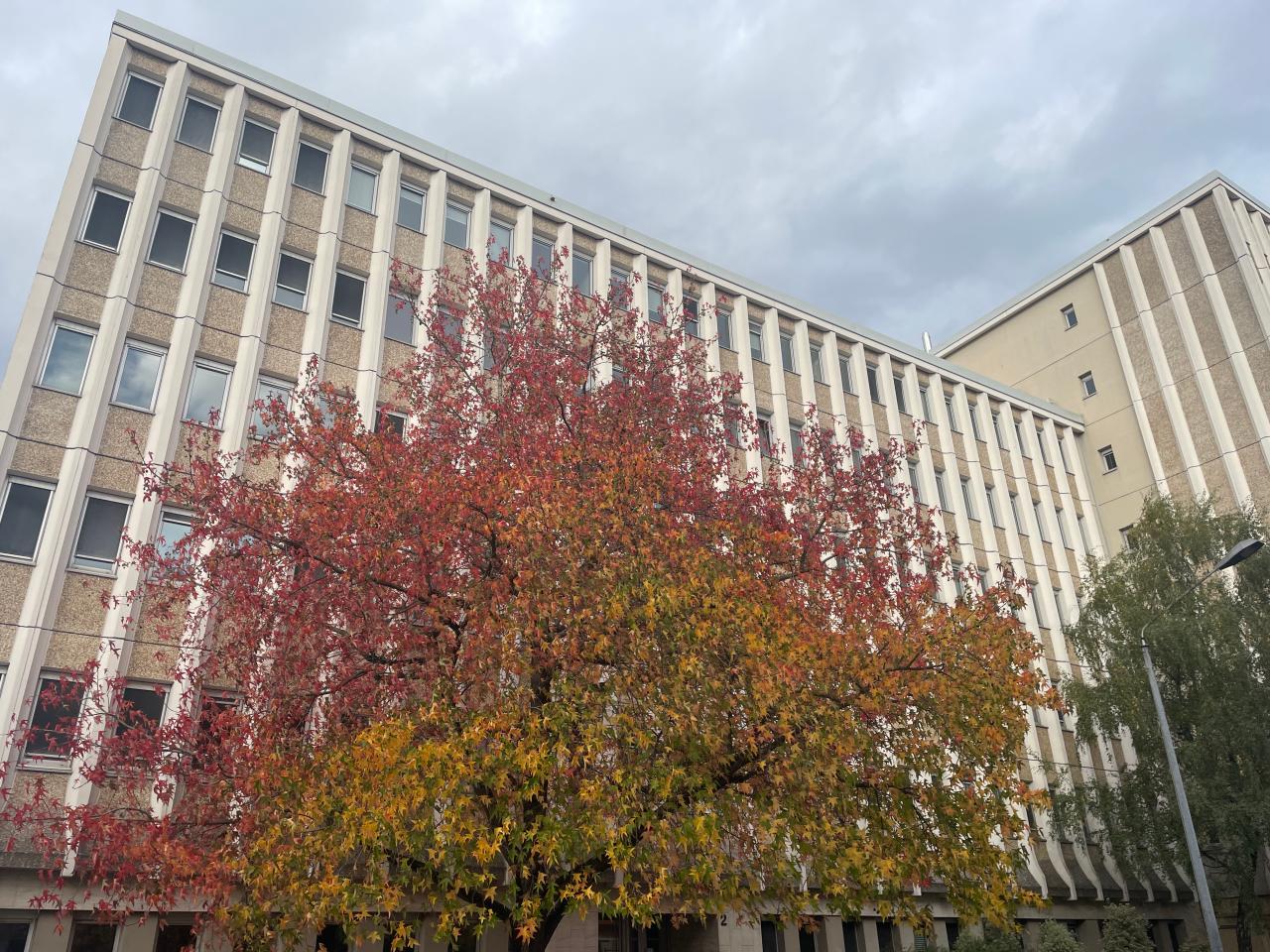 Vente bureau Orléans Loiret OVBUR2113185 6