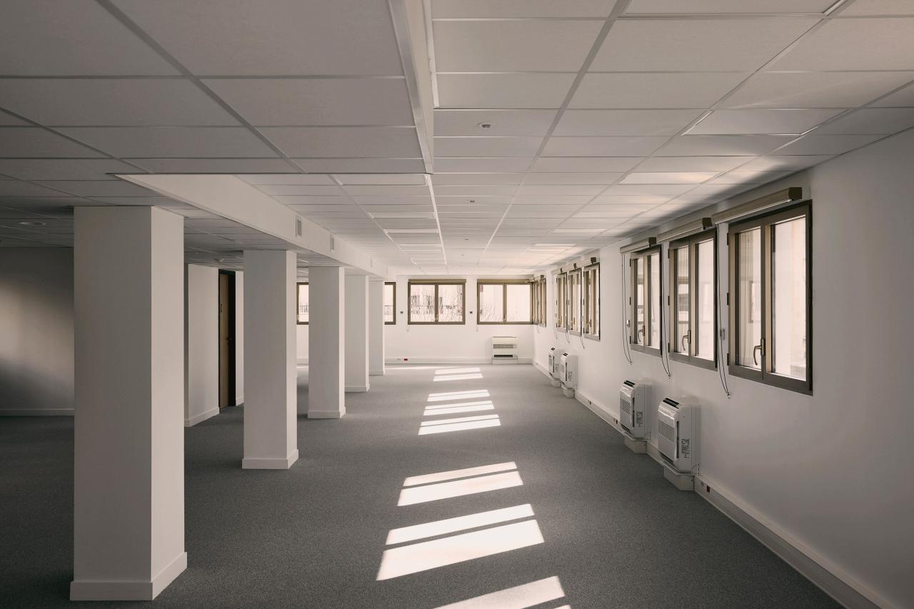 Location bureau Lyon Rhône OLBUR2536634 8