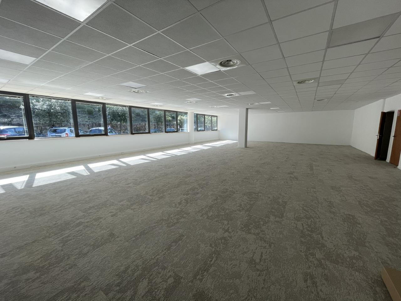 Location bureau Sophia Antipolis Alpes-Maritimes OLBUR2114887 8
