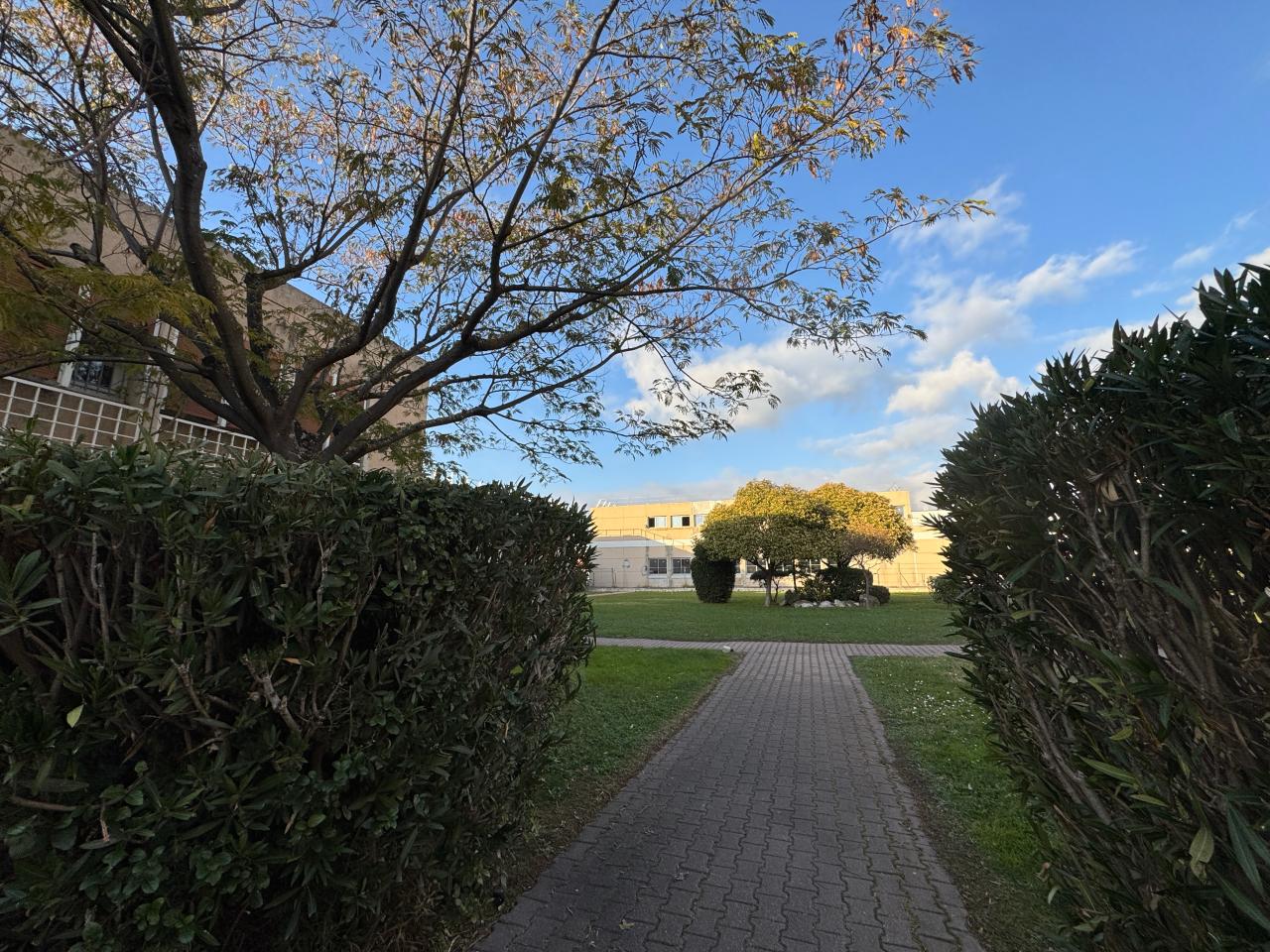 Location bureau Vitrolles Bouches-du-Rhône OLBUR2535368 38