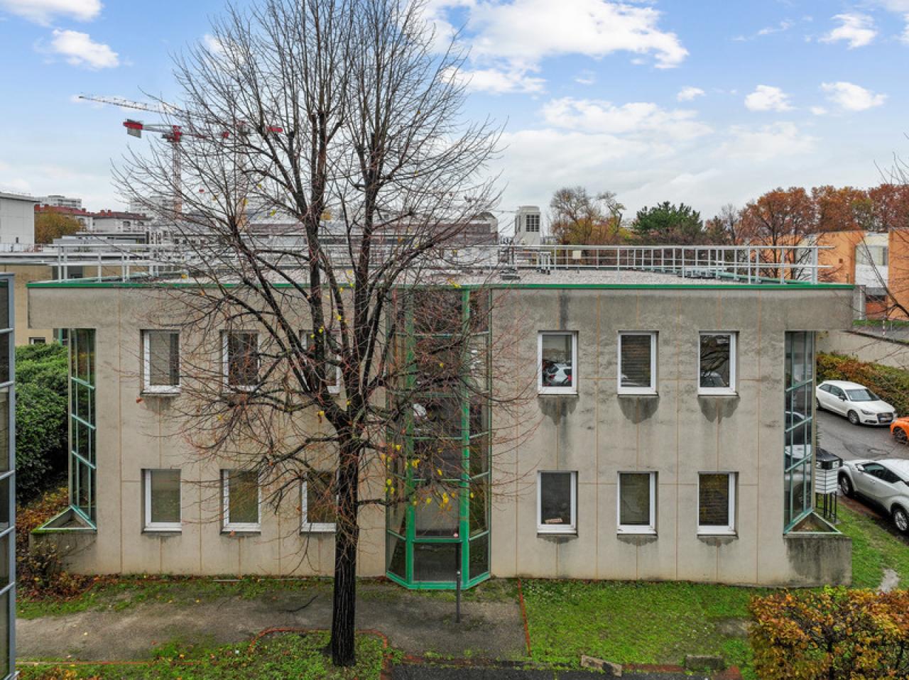 Vente bureau Lyon Rhône OVBUR2640115 5