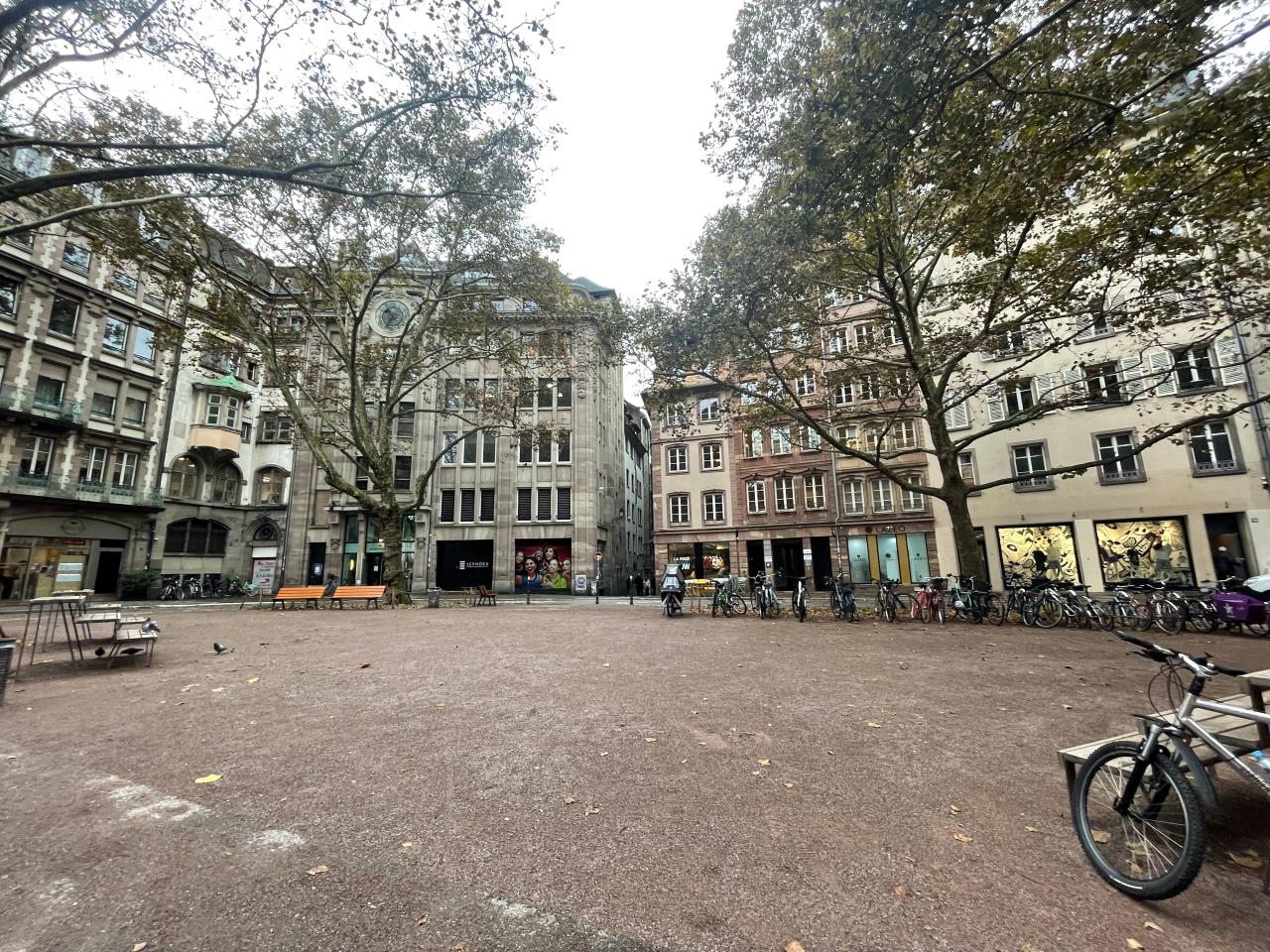 Location bureau Strasbourg Bas-Rhin OLBUR2426654 17