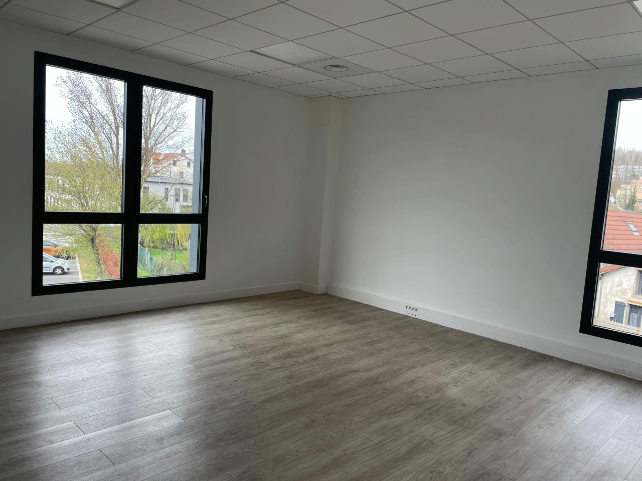 Location local d'activité Neuville-sur-Saône Rhône OLACT2119044 9