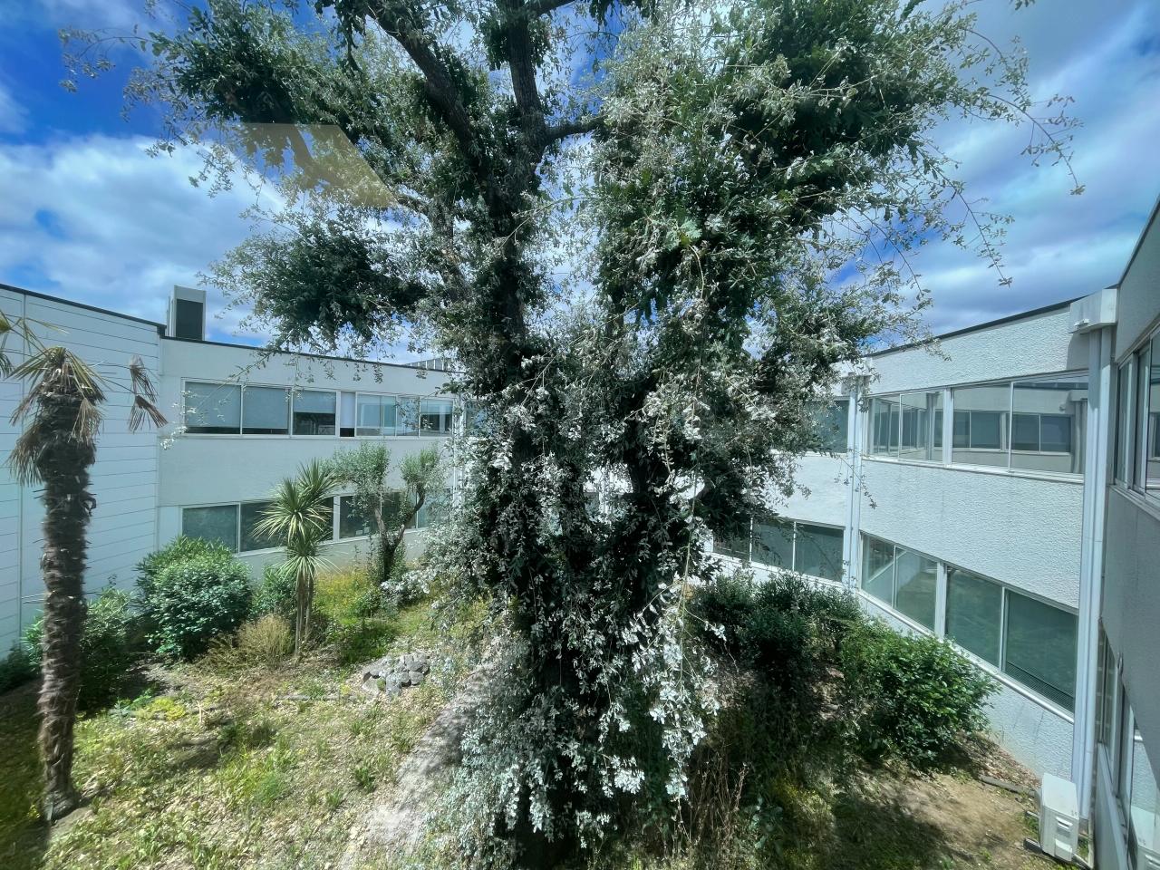 Location bureau Toulouse Haute-Garonne OLBUR2424092 13