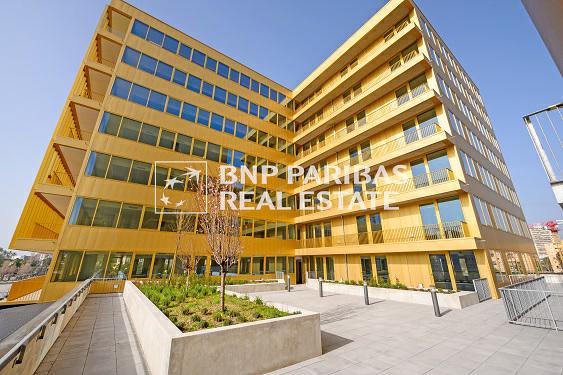Location bureau Nice Alpes-Maritimes AOLBUR2115383_1 5