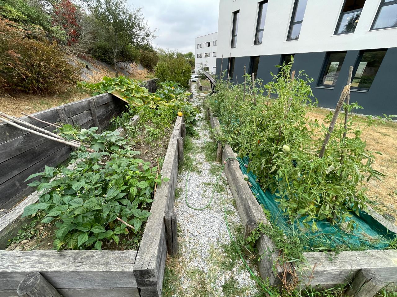 Location bureau Colomiers Haute-Garonne OLBUR2534152 3