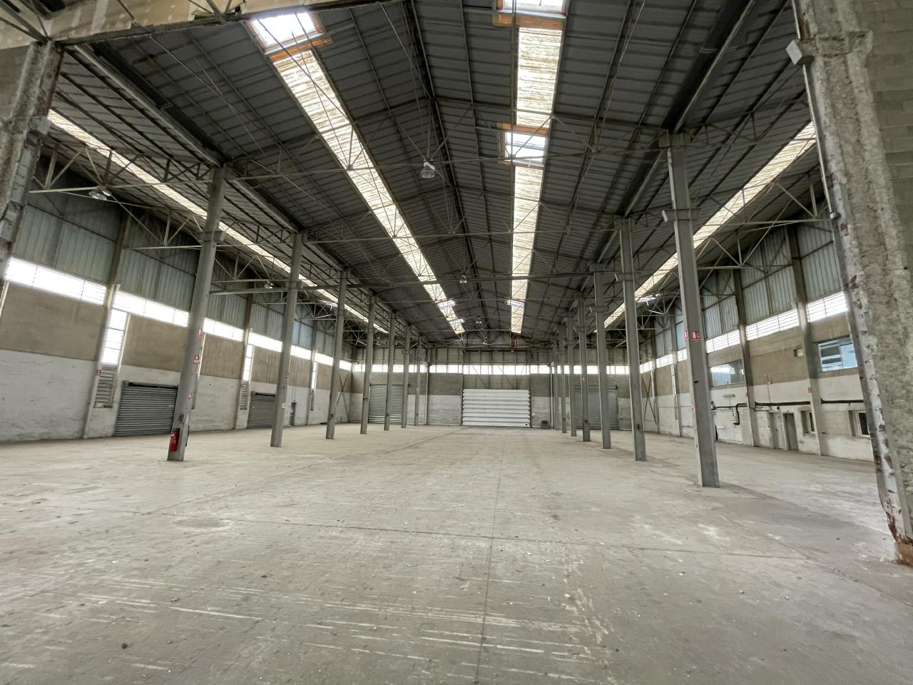 Location local d'activité Toulouse Haute-Garonne OLACT2421860 11