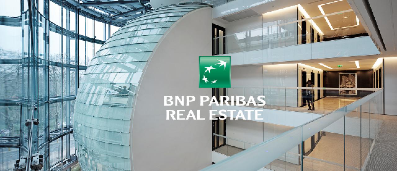 Location local d'activité Cagnes-sur-Mer Alpes-Maritimes OLACT2532807 11