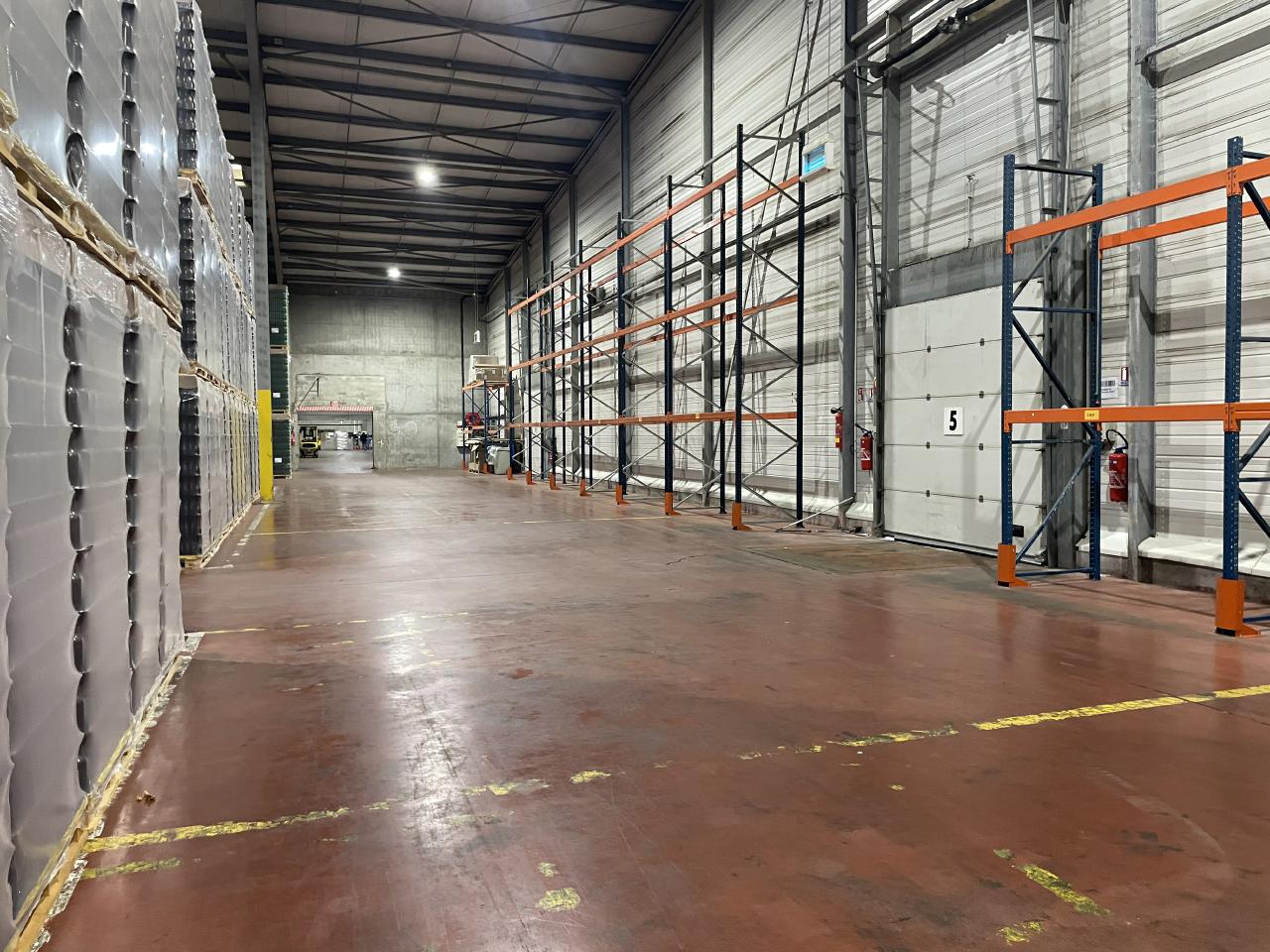 Location entrepôt classe b OLLOG2423883 5