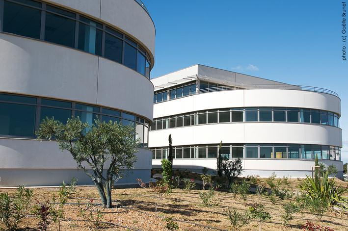 Location bureau Pérols Hérault OLBUR2206116 3