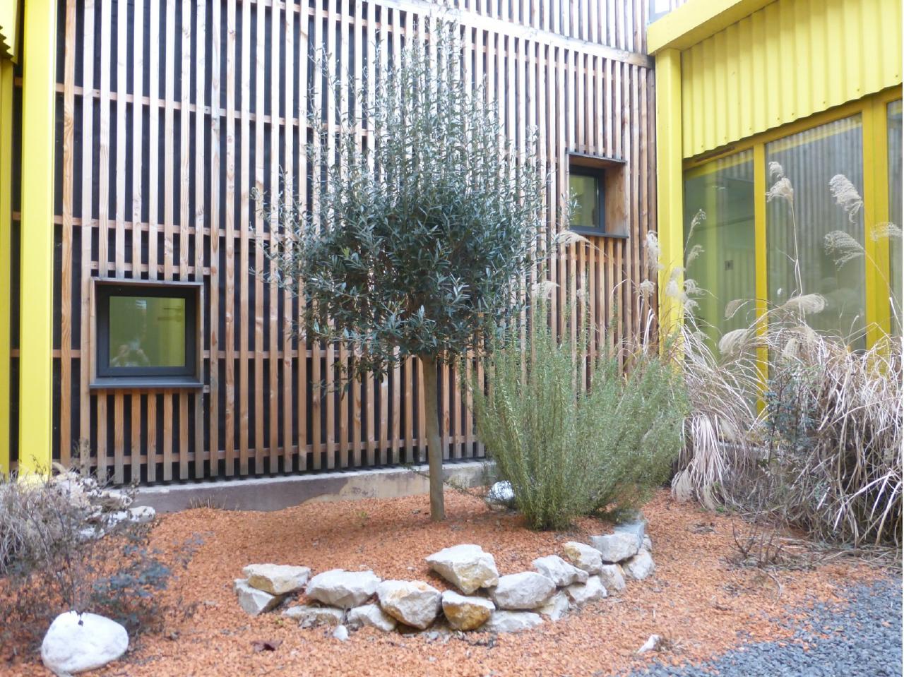 Location bureau Aigues-Mortes Gard OLBUR2528962 2