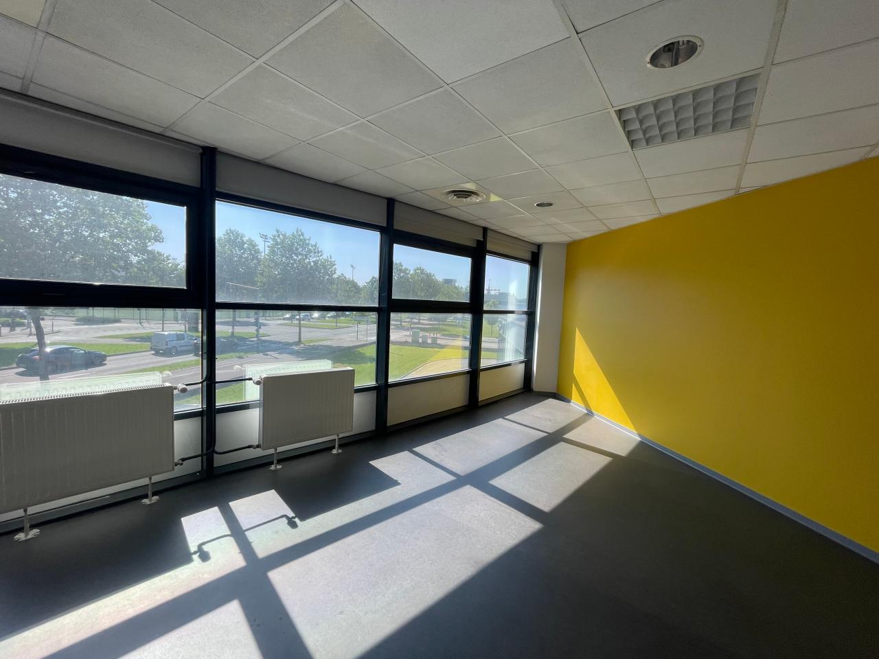 Location bureau Strasbourg Bas-Rhin OLBUR2110862 10