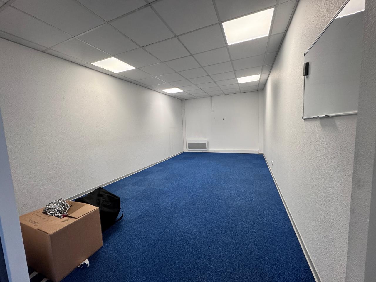 Location local d'activité Geispolsheim Bas-Rhin OLACT2537384 7