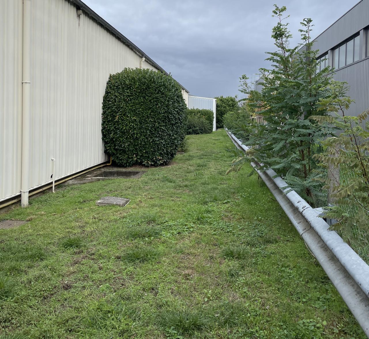 Vente local d'activité Chassieu Rhône OVACT2535206 3