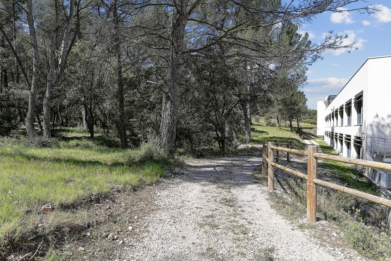 Location bureau Aix-en-Provence Bouches-du-Rhône OLBUR2115140 9