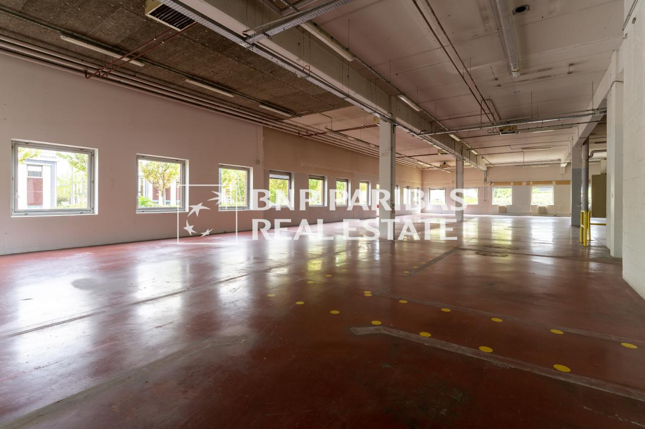 Location local d'activité Antony Hauts-de-Seine OLACT2309797 2