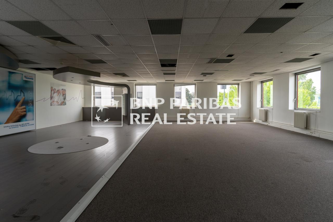 Location local d'activité Antony Hauts-de-Seine OLACT2309797 3