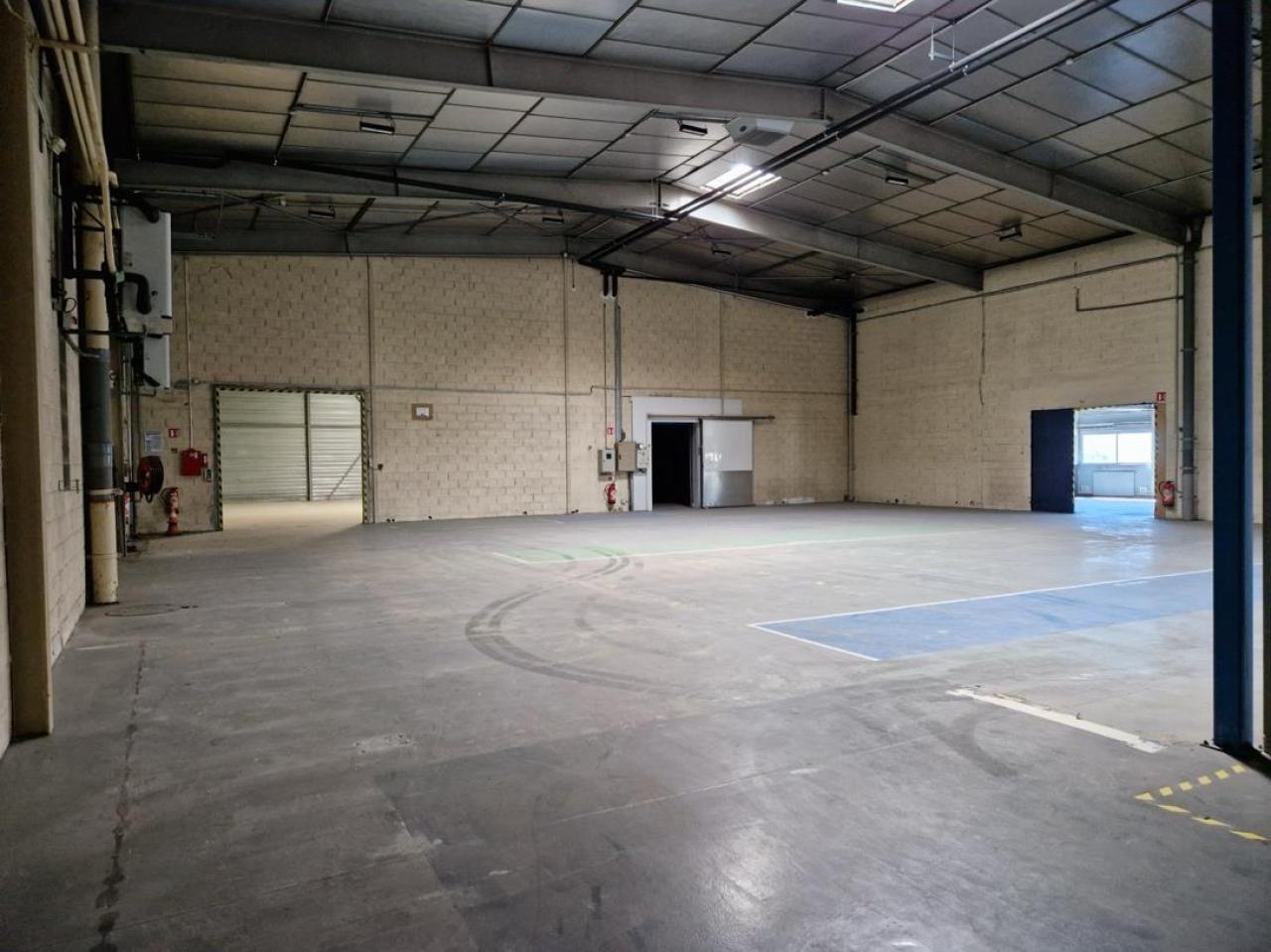 Vente local d'activité Dardilly Rhône OVACT2645186 9
